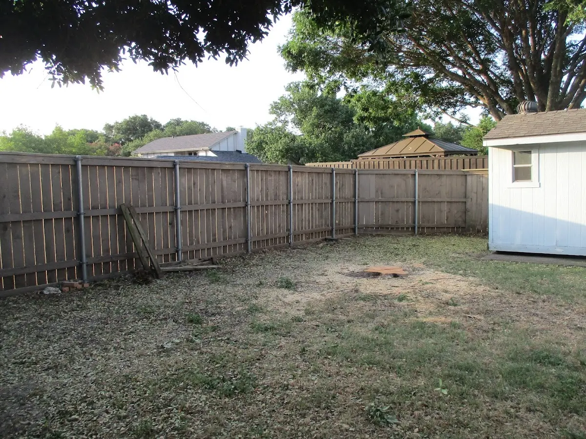 Cleared yard after professional tree removal in New Millport